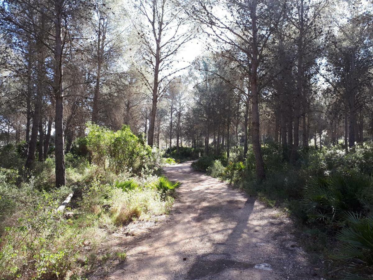 Villa Amborget San Jorge  Esterno foto